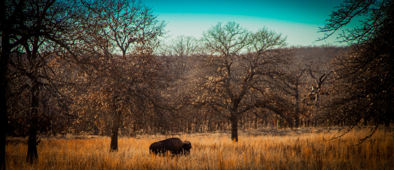 Woolaroc Ranch, Museum and Wildlife Preserve