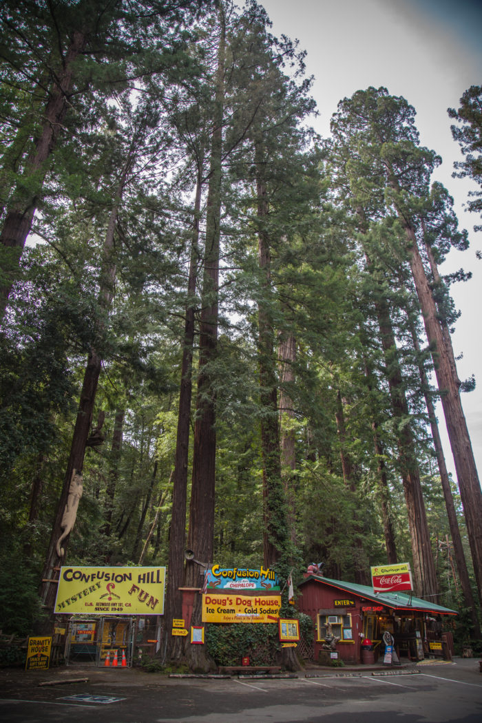 Confusion Hill Family Travel Go LLC