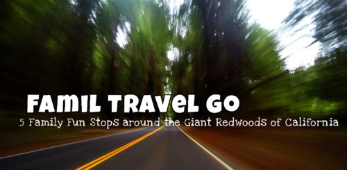 5 Family Fun Stops around the Giant Redwoods of California