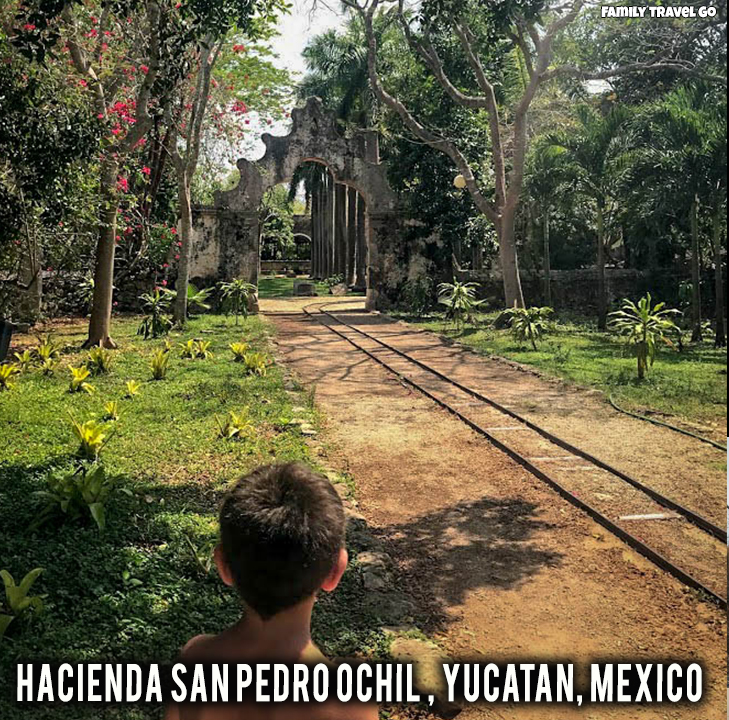 Yucatan Tour – Hacienda Meal and Walking Tour