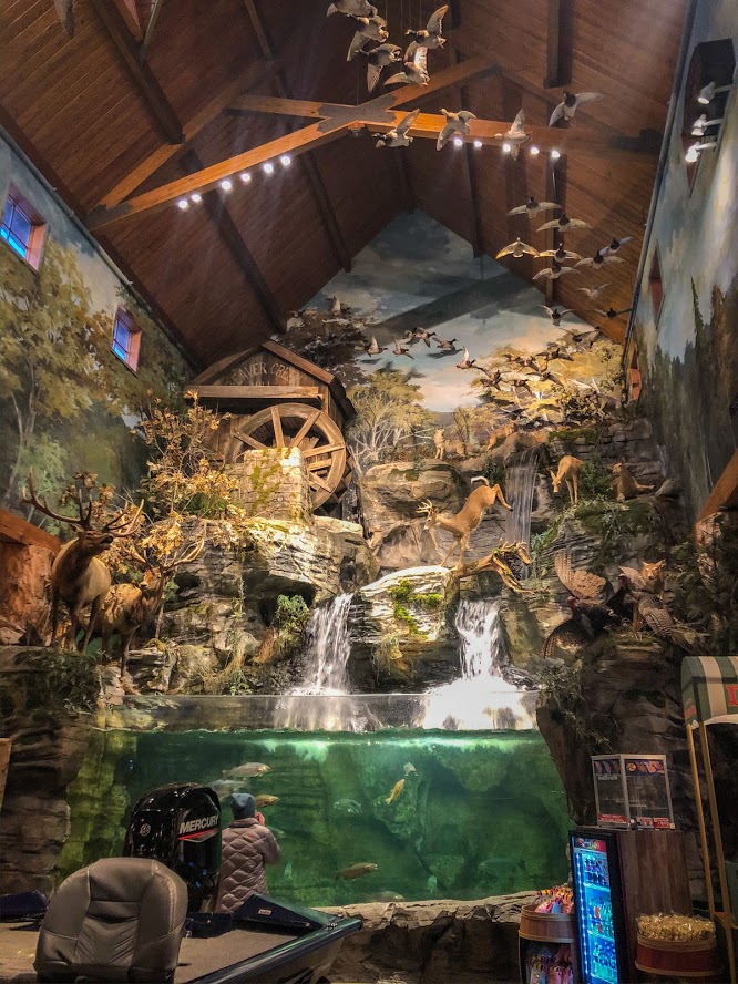 waterfall and animal display at bass pro at branson landing in missouri