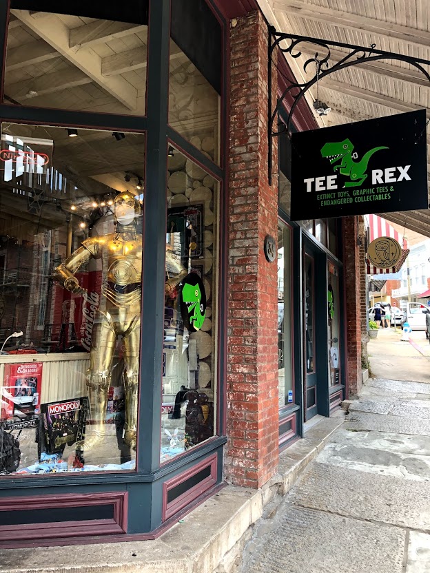 tee rex store in downtown eureka springs arkansas photo by family