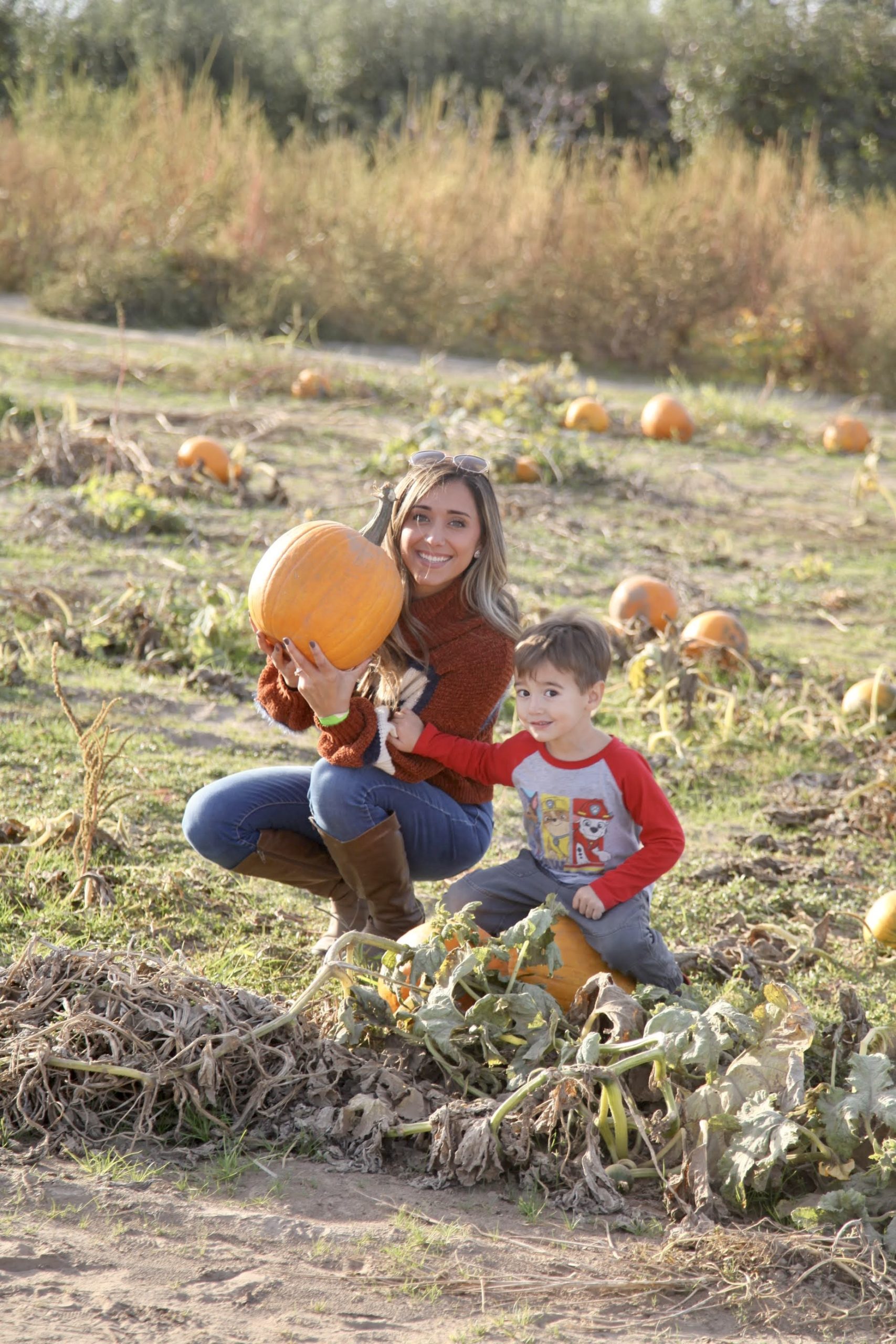 5 Reasons to visit Livesay Orchards Pumpkin Patch and Everything you need to know