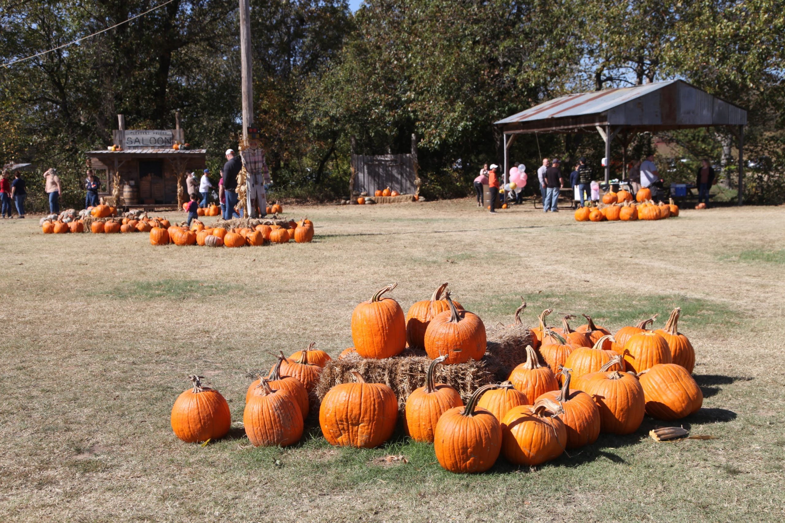 The Best Pumpkin Patches around the Tulsa area