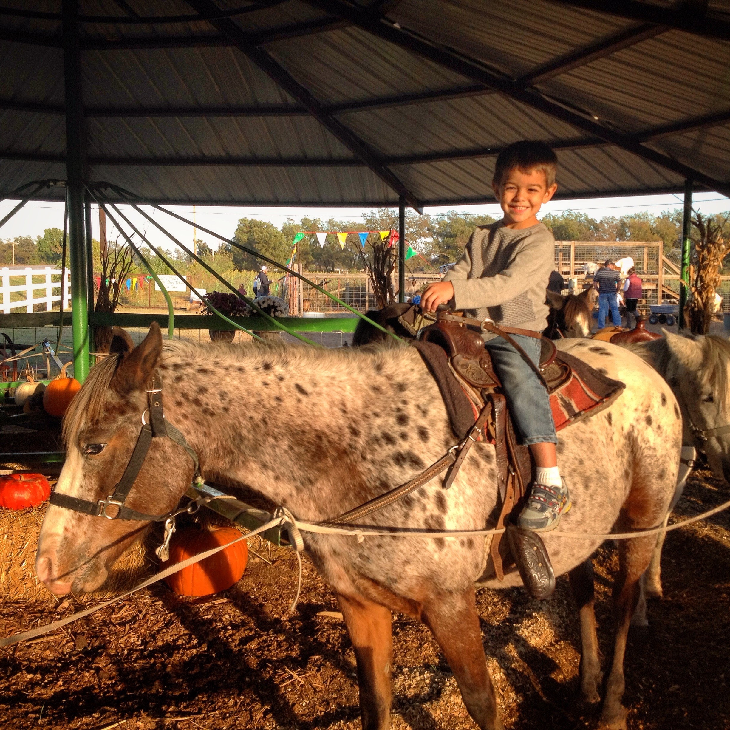 Everything you need to know about Carmichaels Pumpkin Patch and 5 Reasons to visit