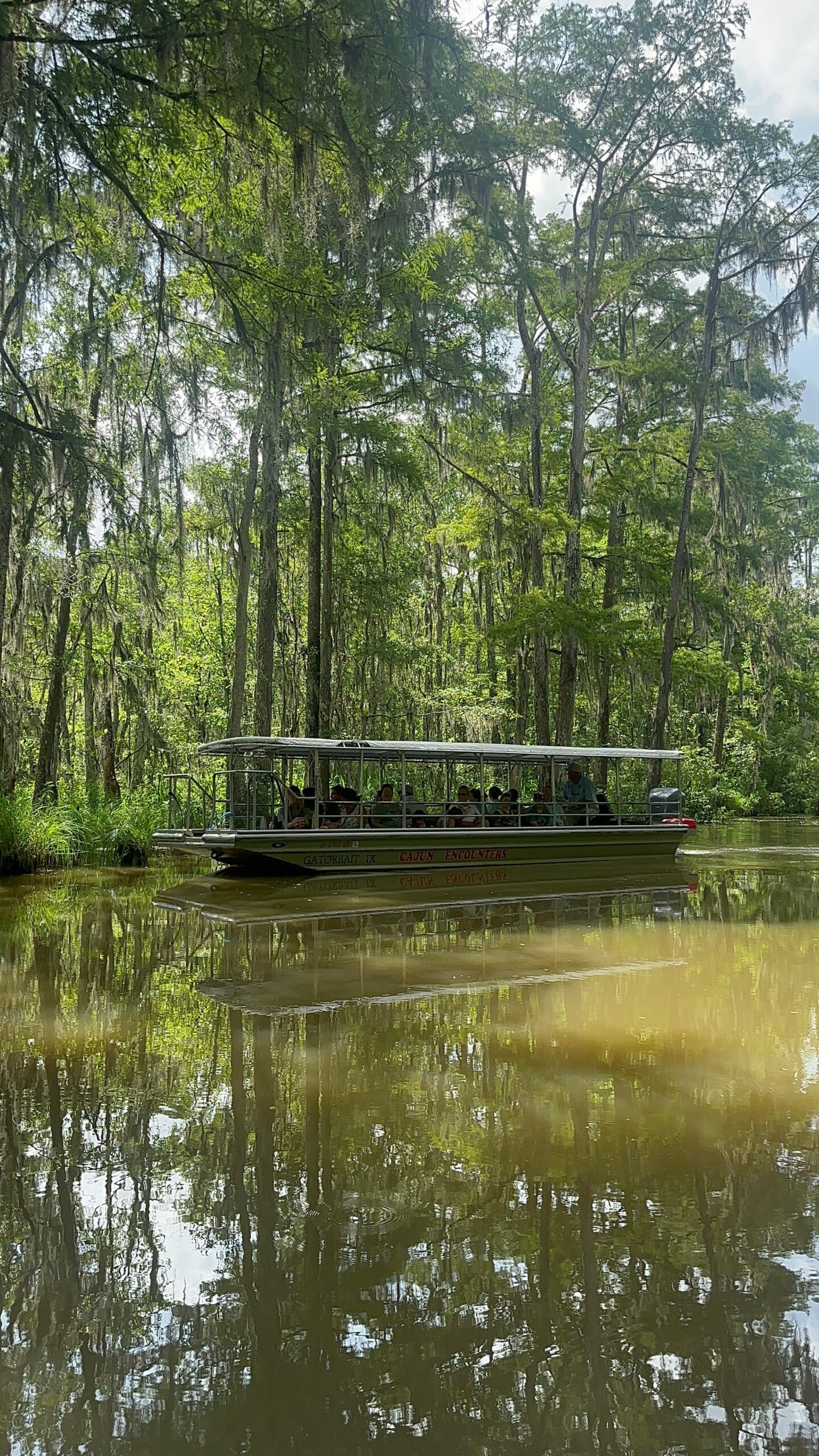 Cajun Encounters Swamp Tour Reasons to go and Tips for your visit