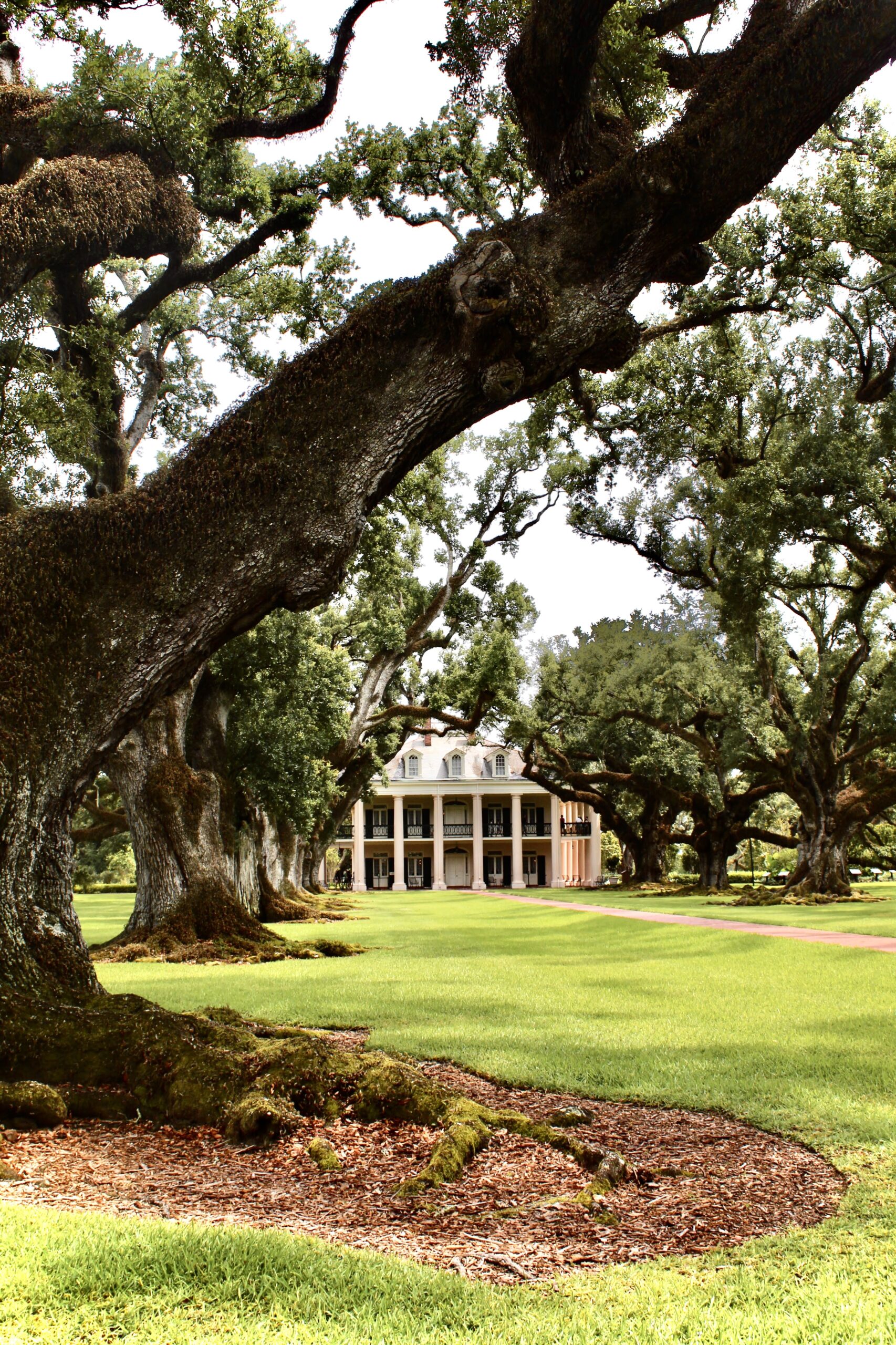 Oak Alley Plantation 5 Reasons to visit, Everything you need to know and tips for your visit